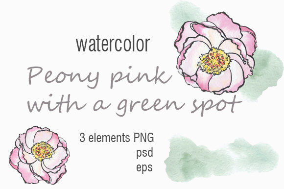 Download Peony Flower with a Green Spot - Green Collection