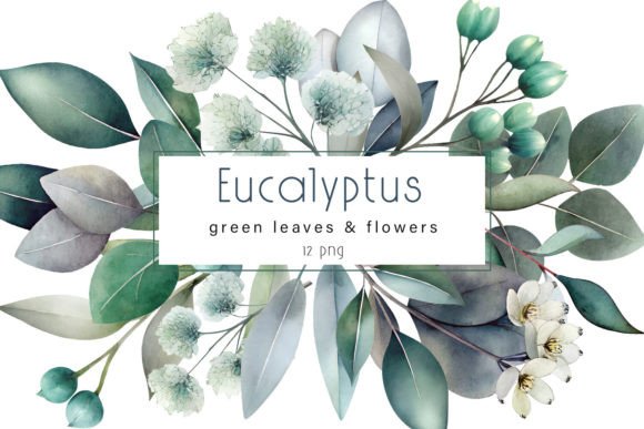 Download Eucalyptus Clipart. Watercolor Greenery - Green Collection